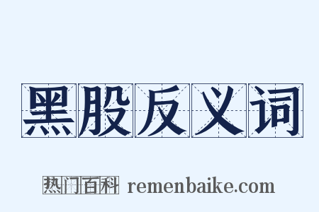黑股反义词是什么意思的图片